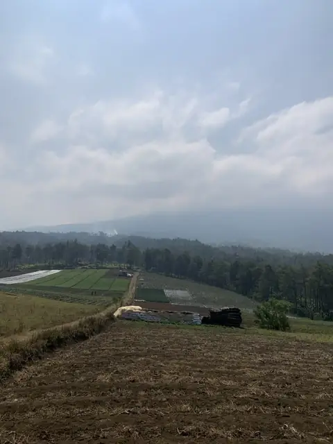 Hamparan lahan pertanian dengan perbukitan di Bukit Jengkoang
