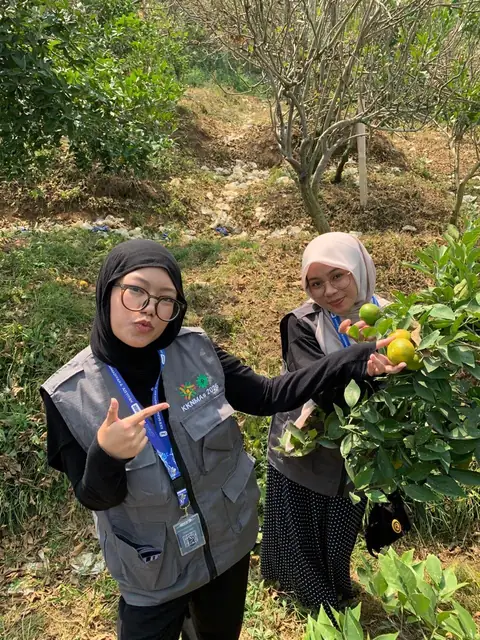 Dokumentasi kegiatan di kebun jeruk Bukit Jengkoang